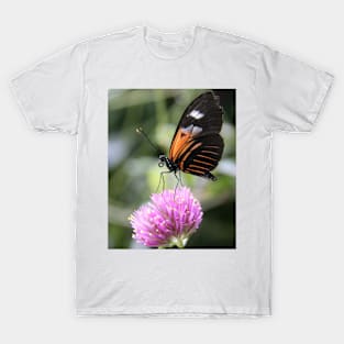 Orange Butterfly T-Shirt